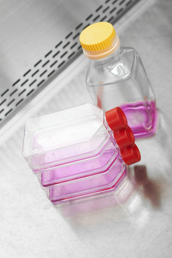 HEMOXCell/ HEMUPStream: l'activateur de croissance cellulaire